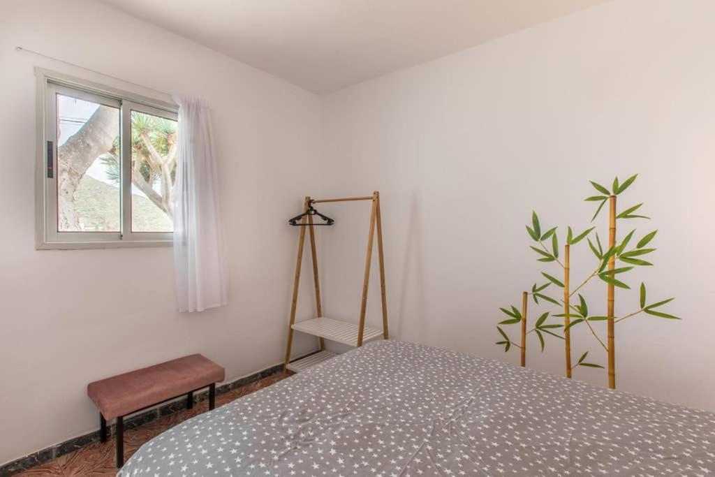Anaga Experience: Mountain And Beach Retreat Taganana Ngoại thất bức ảnh